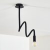 WERTACH Ceiling Light black, 1-light source