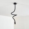 WERTACH Ceiling Light black, 1-light source
