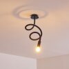 WERTACH Ceiling Light black, 1-light source