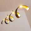 REZAT Pendant Light LED black-gold, 1-light source