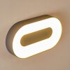 Outdoor Wall Light Felsted LED silver, 1-light source