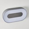 Outdoor Wall Light Felsted LED silver, 1-light source