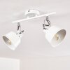 Ceiling Light Safari white, 2-light sources