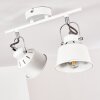 Ceiling Light Safari white, 2-light sources