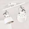 Ceiling Light Safari white, 2-light sources