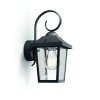 Philips BUZZARD Outdoor Wall Light black, 1-light source