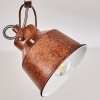 Safari Ceiling Light rust-coloured, 2-light sources