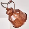 Safari Ceiling Light rust-coloured, 2-light sources