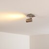 ZUOZ Ceiling Light matt nickel, 1-light source