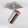 ZUOZ Ceiling Light matt nickel, 1-light source