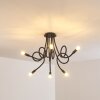 WERTACH Ceiling Light black, 6-light sources