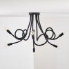 WERTACH Ceiling Light black, 6-light sources
