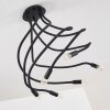 WERTACH Ceiling Light black, 6-light sources