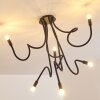 WERTACH Ceiling Light black, 6-light sources
