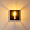 IBUSUKI Wall Light gold, brass, black, 1-light source