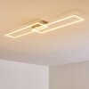 CEVA Ceiling light LED silver, 2-light sources, Remote control