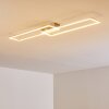 CEVA Ceiling light LED silver, 2-light sources, Remote control