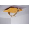 Elesi Luce ceiling light LED gold, 1-light source