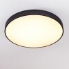 PLOVDIV Ceiling Light LED white, 1-light source, Remote control