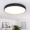 PLOVDIV Ceiling Light LED white, 1-light source, Remote control