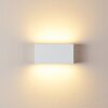 DULUTH Outdoor Wall Light LED white, 1-light source