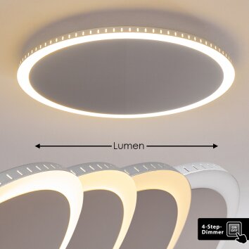 AITRACH Ceiling Light LED silver, white, 1-light source