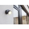 Lutec TRUMPET Outdoor Wall Light LED anthracite, 1-light source