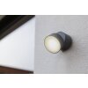 Lutec TRUMPET Outdoor Wall Light LED anthracite, 1-light source