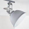 DOMPIERRE Ceiling light grey, white, 2-light sources