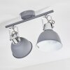 DOMPIERRE Ceiling light grey, white, 2-light sources