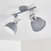 DOMPIERRE Ceiling light grey, white, 2-light sources