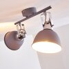 DOMPIERRE Ceiling light grey, white, 2-light sources