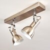 Danikon Ceiling Light matt nickel, 2-light sources