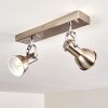 Danikon Ceiling Light matt nickel, 2-light sources