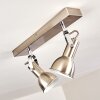Danikon Ceiling Light matt nickel, 2-light sources