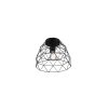 Reality HAVAL Ceiling Light black, 1-light source