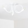 Wertach Ceiling Light white, 3-light sources