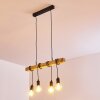 Barbengo Pendant Light black, 4-light sources