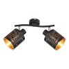 Spotlight Globo TUNNO black, 2-light sources