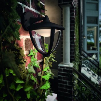 Philips ROBIN Outdoor Wall Light LED black, 1-light source