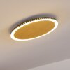 AITRACH Ceiling Light LED gold, white, 1-light source