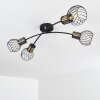 Bacau Ceiling Light black, 4-light sources