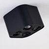 Baishan Ceiling Light black, 4-light sources