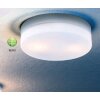 Globo VRANOS ceiling light stainless steel, silver, white, 2-light sources