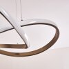 Pitasch Pendant Light LED matt nickel, 1-light source