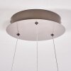 Pitasch Pendant Light LED matt nickel, 1-light source