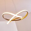 Pitasch Pendant Light LED matt nickel, 1-light source