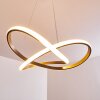 Pitasch Pendant Light LED matt nickel, 1-light source