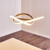 Pitasch Pendant Light LED matt nickel, 1-light source