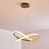 Pitasch Pendant Light LED matt nickel, 1-light source